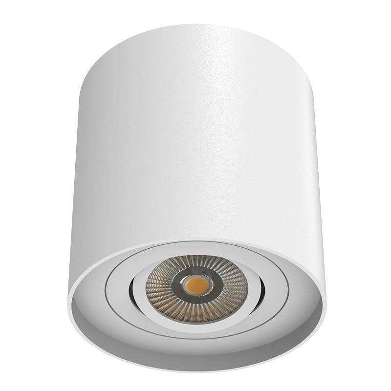 Surface Mounted Round Shape LED Downlight With 1 lamp