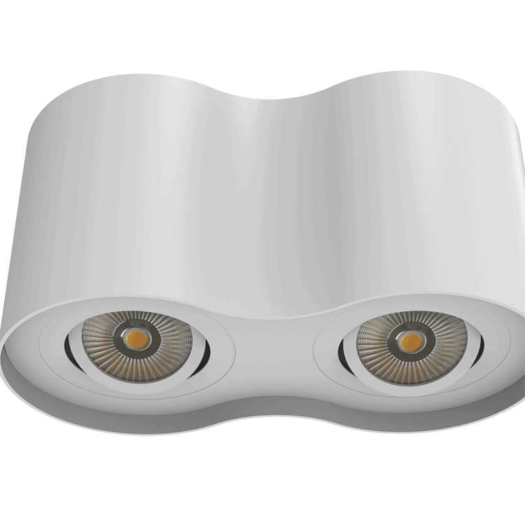 Round Shape LED Downlight With 2 lamps