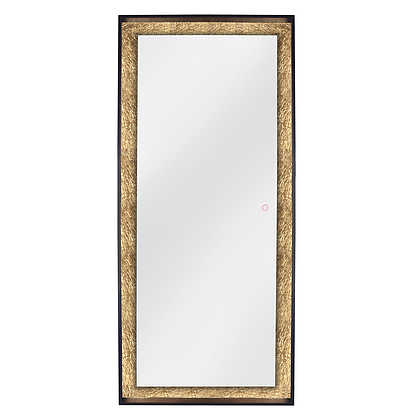 full length mirror with lights