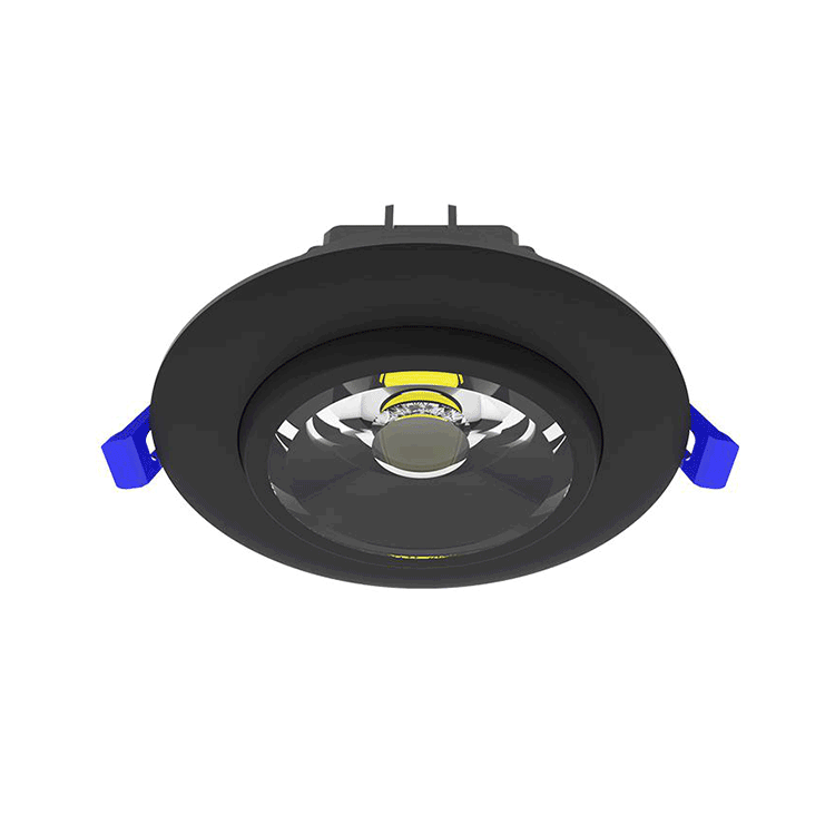 Adjustable Downlight