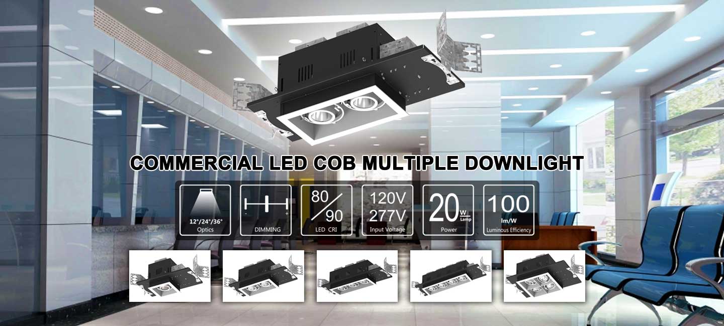 Recessed Downlight