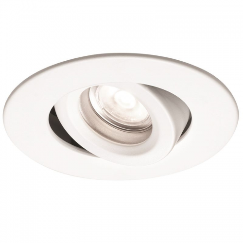 Adjustable Downlight