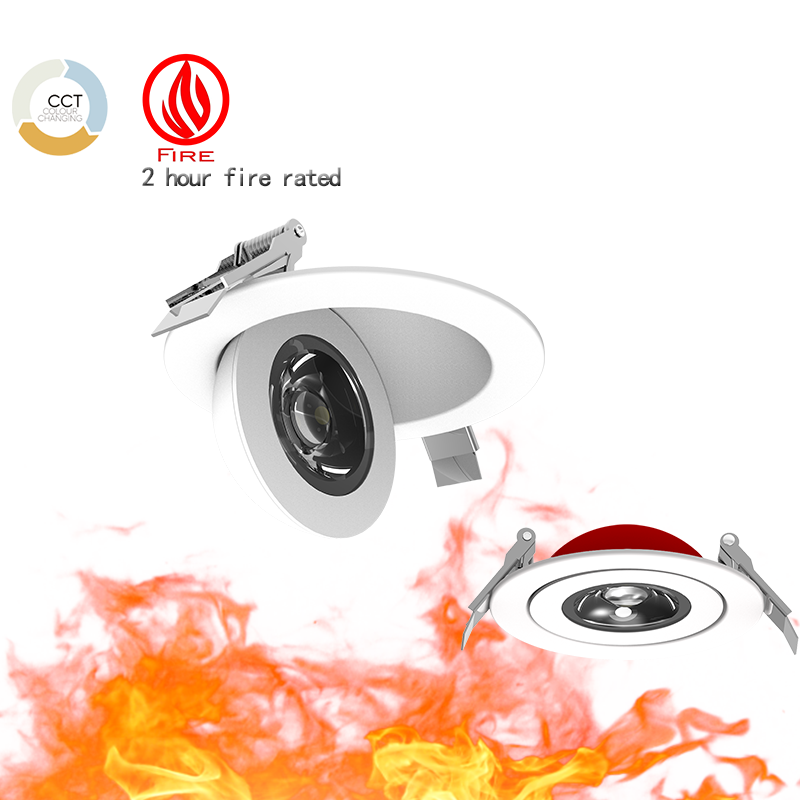 Fire Rated Eyeball light