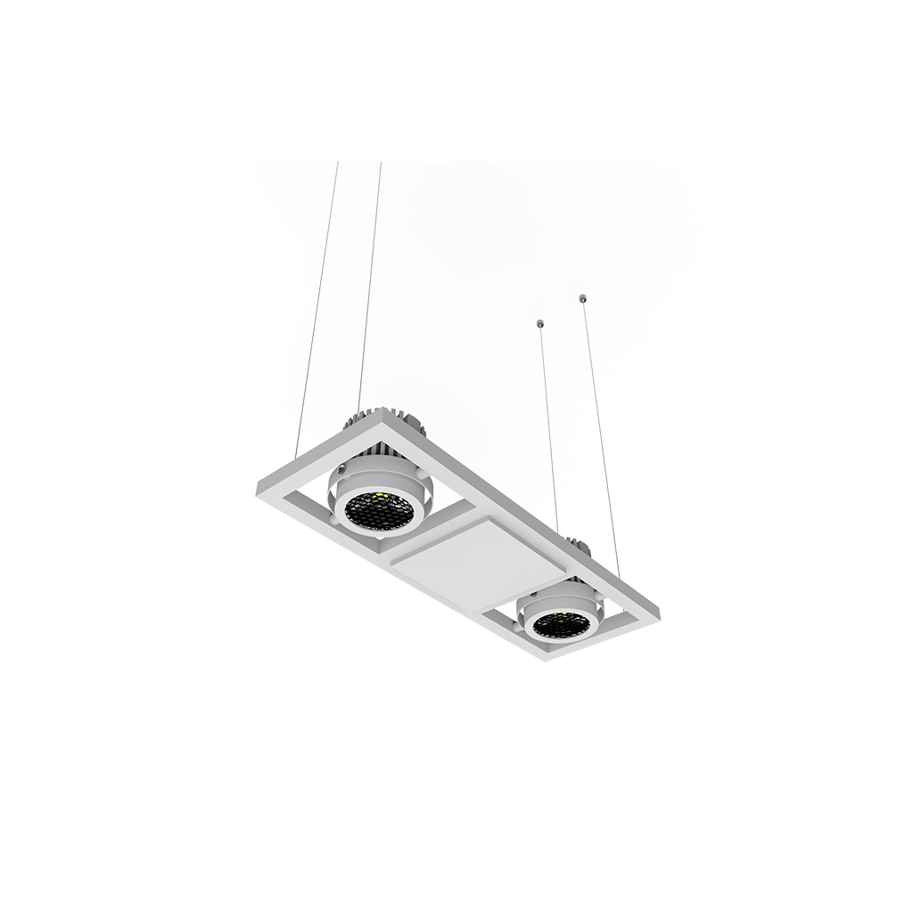 Morph Series-Pendant lamp(Double-downlight)