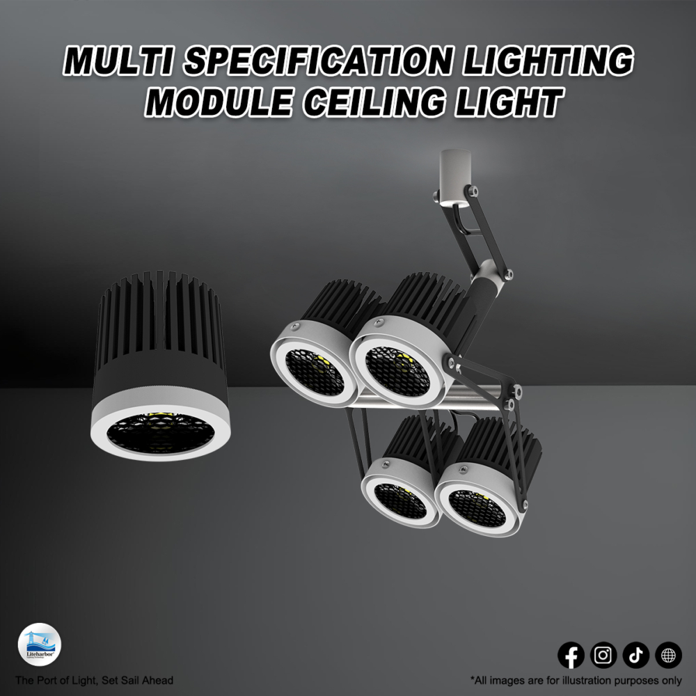 Liteharbor Morph: Expertly Crafted for Excellence