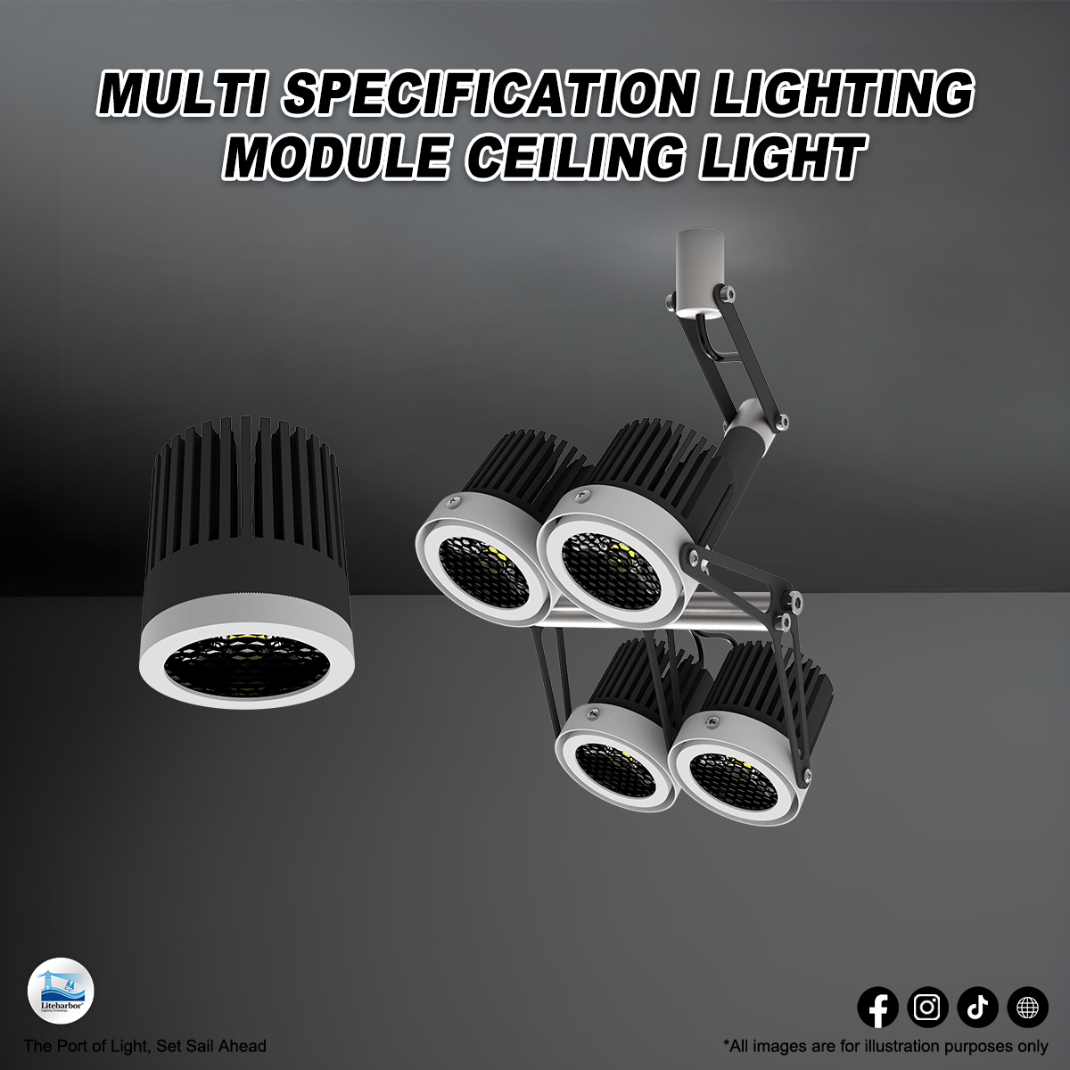 Liteharbor Morph: Expertly Crafted for Excellence