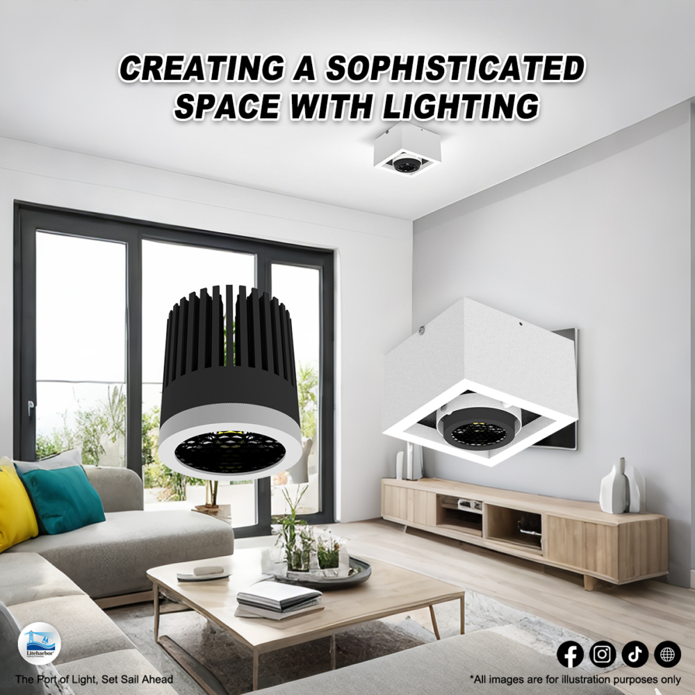 Factory-Direct Excellence: Liteharbor Morph