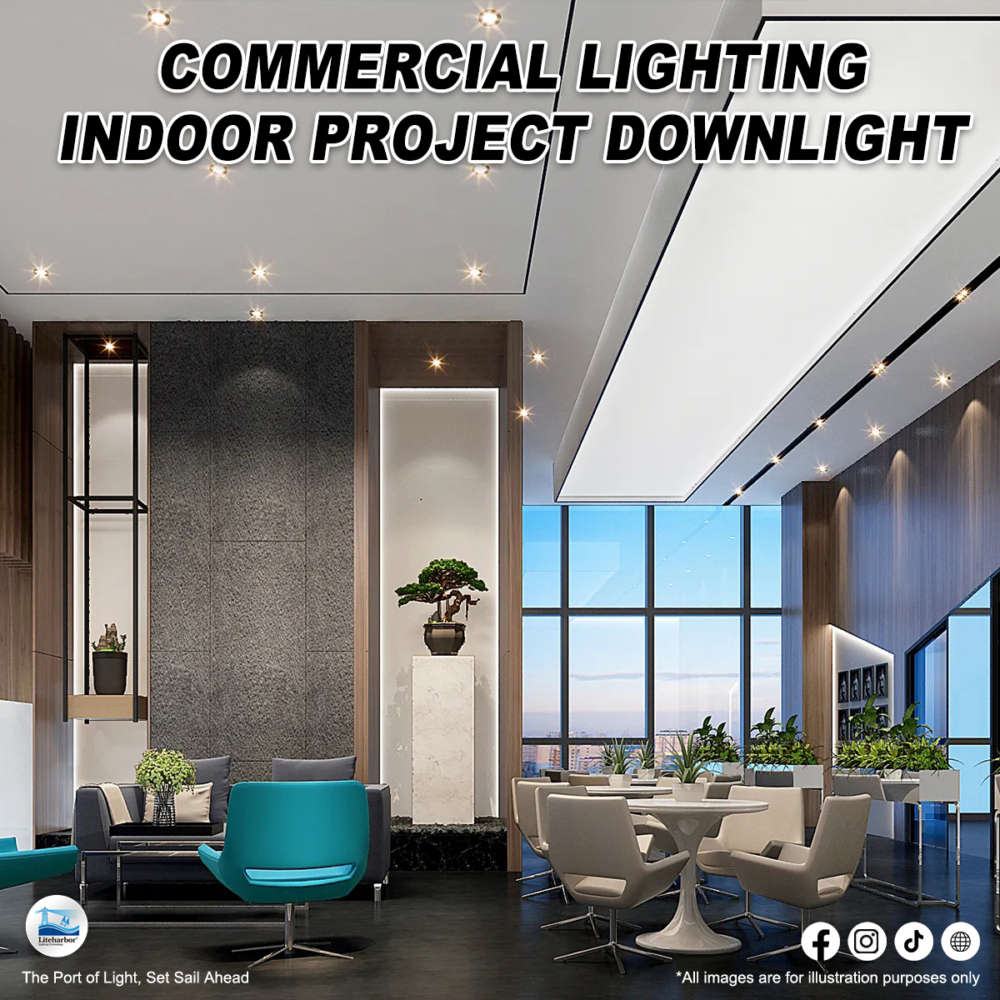 Commercial Downlight: Indoor Project Excellence
